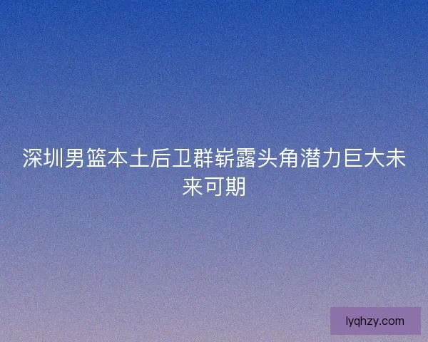 深圳男篮本土后卫群崭露头角潜力巨大未来可期 深圳男篮本土后卫群崭露头角潜力巨大未来可期